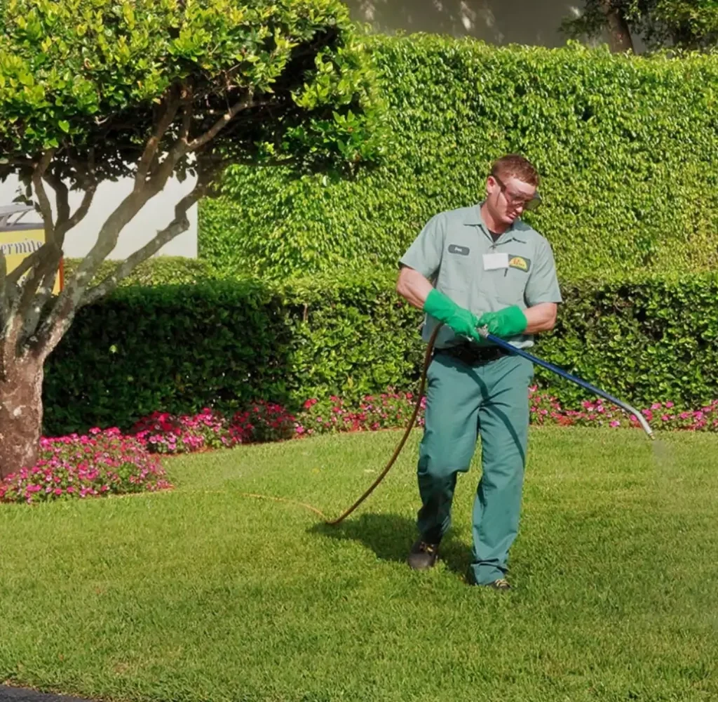 Lawn Care